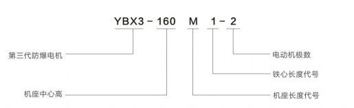 ybx3 (1) ybx3 (1)